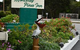 Del Monte Pines Motel Monterey Ca