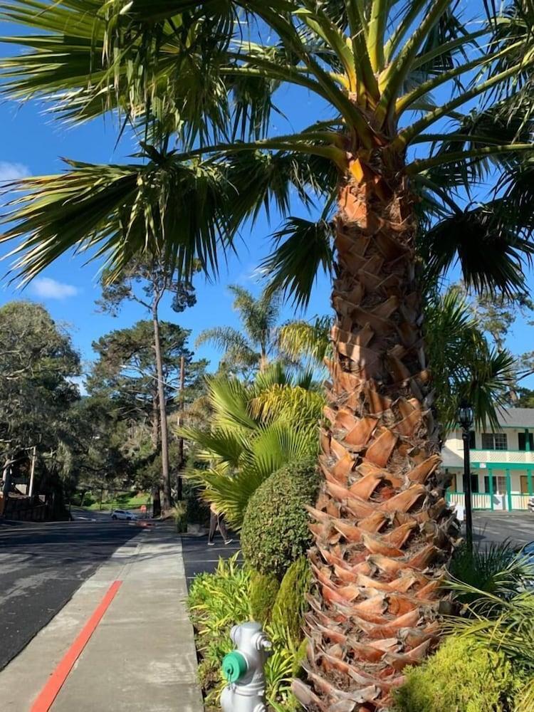 Monterey Pines Inn Exterior photo